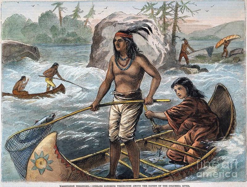 You'd Eat a Lot More Fish (If You Could Catch It)