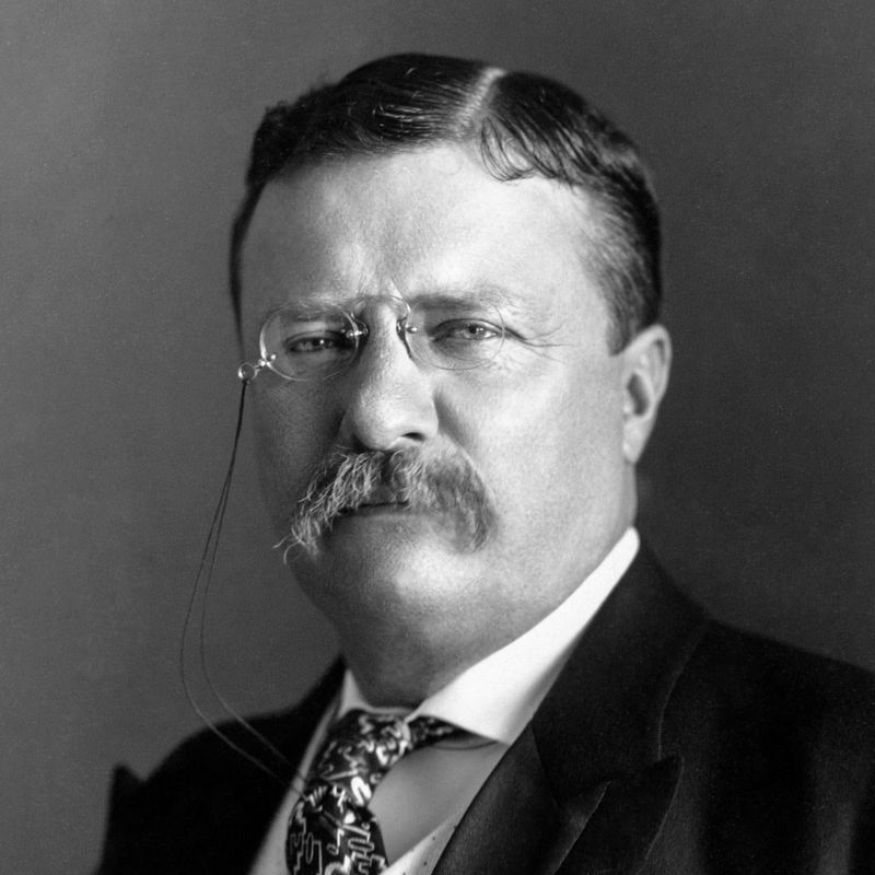 Ran for President on a Third-Party Ticket