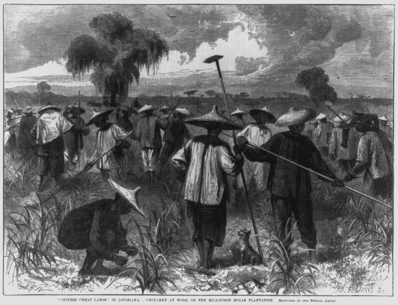 Coerced 'Coolie' Labor