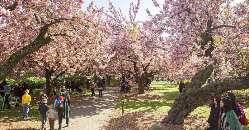 Brooklyn Botanic Garden – New York