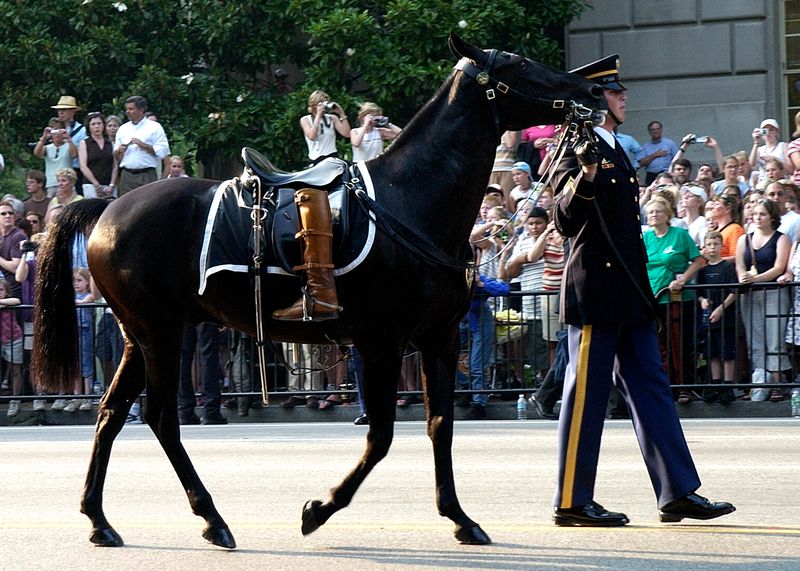 Traditional Military Rituals