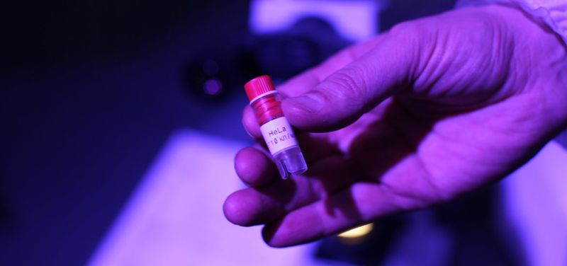 Billion-Dollar Cells, Zero Compensation