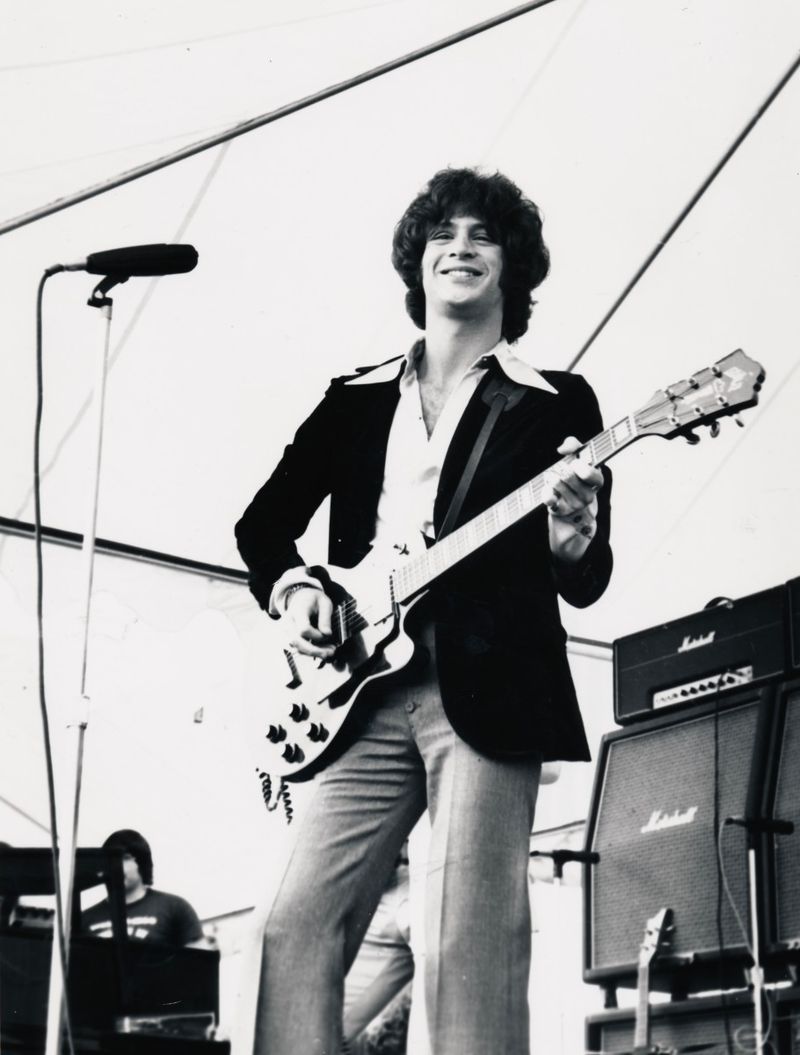The Raspberries
