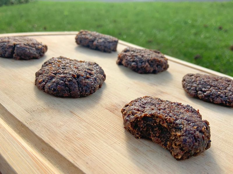 Pemmican Was the Original Protein Bar