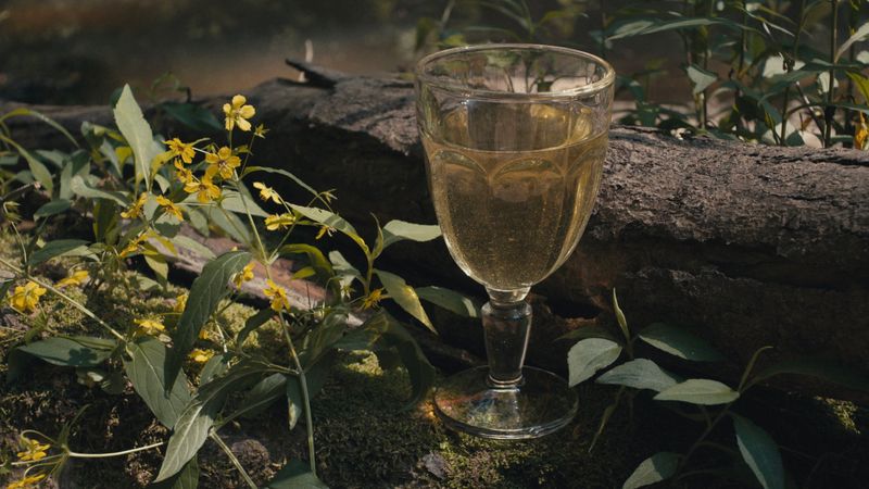 Mead (Circa 7000 BC)
