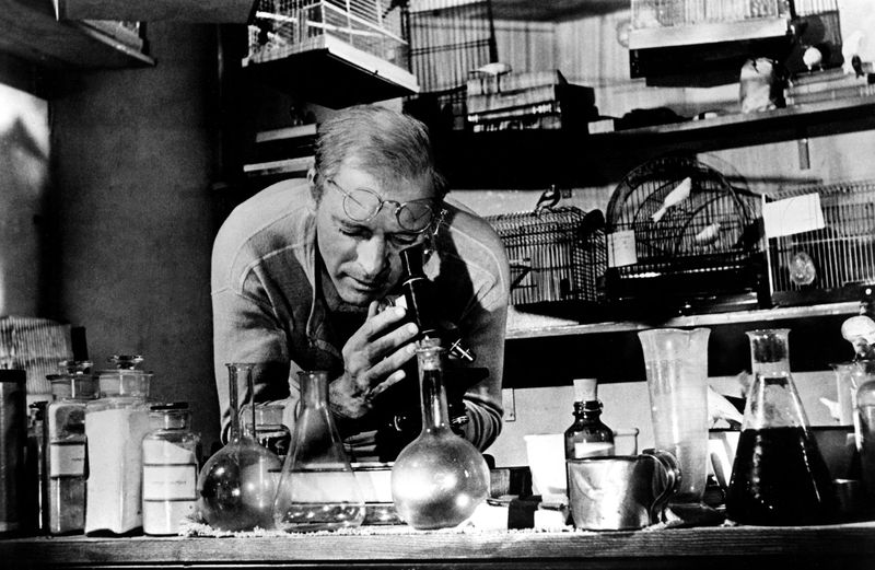 Caged Brilliance in The Birdman of Alcatraz (1962)