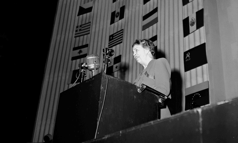 Pressed the U.N. to Address U.S. Racism