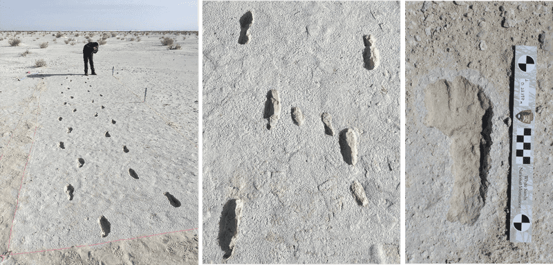 Prehistoric Humans Walked Beside Mammoths and Giant Sloths