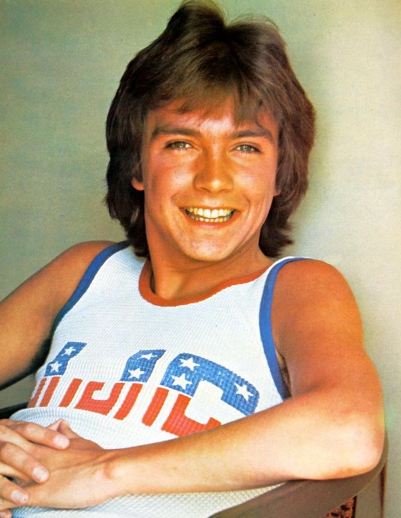 David Cassidy: Teen Dream