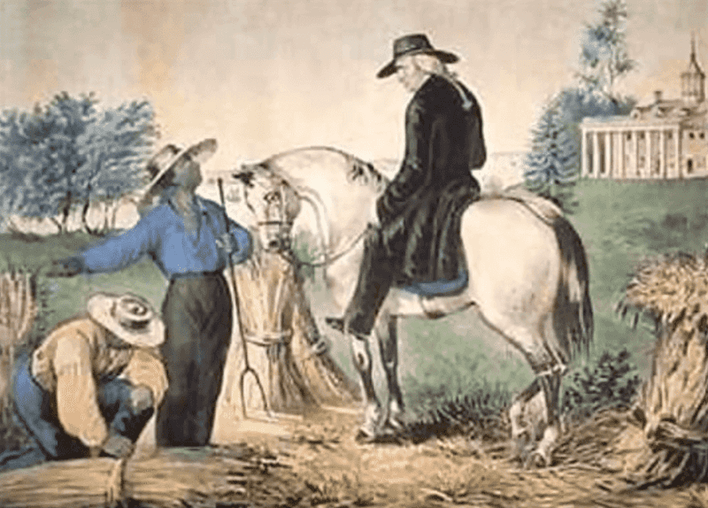Many Were Never Freed