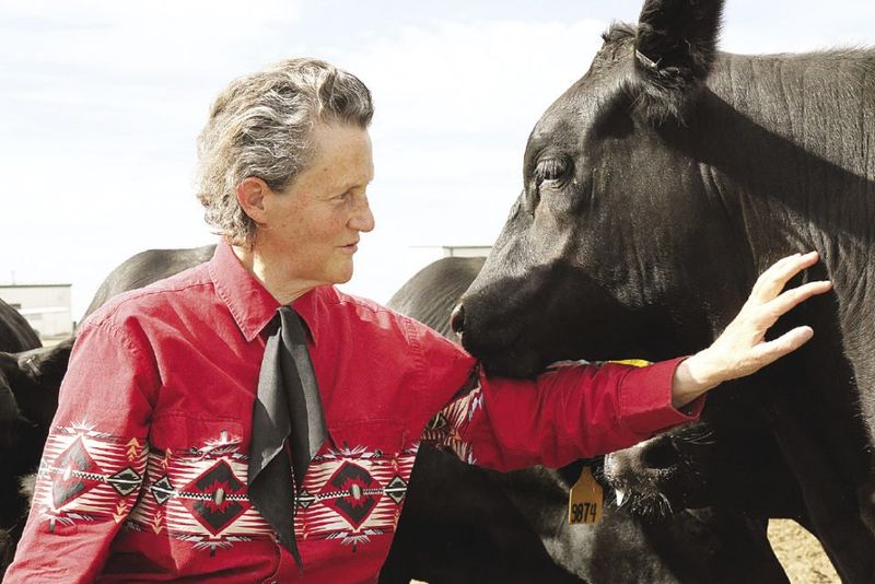Temple Grandin (b. 1947)