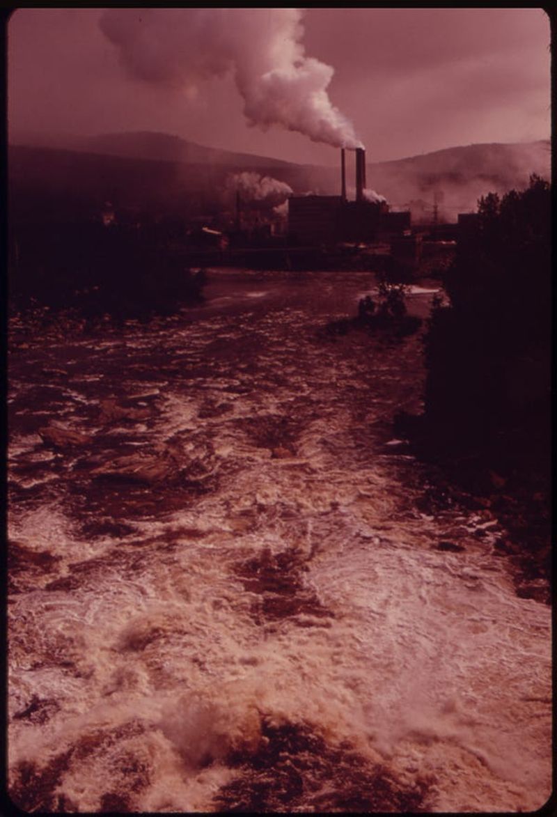 Environmental Destruction as Progress