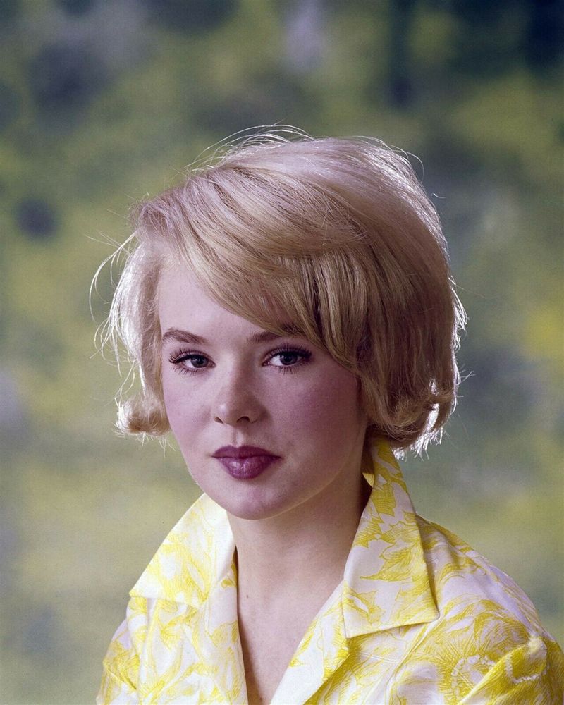 Joey Heatherton: The Bombshell Who Fizzled