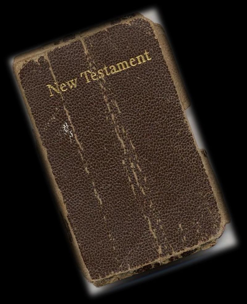 Four-Leaf Clovers (Pressed in Bibles)