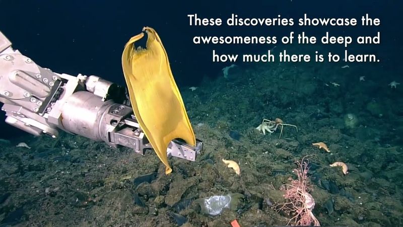 Inspiration for Further Ocean Exploration