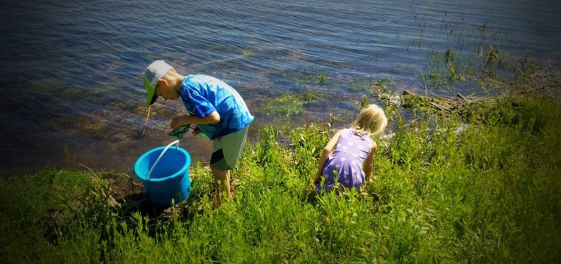Caught Tadpoles in a Creek