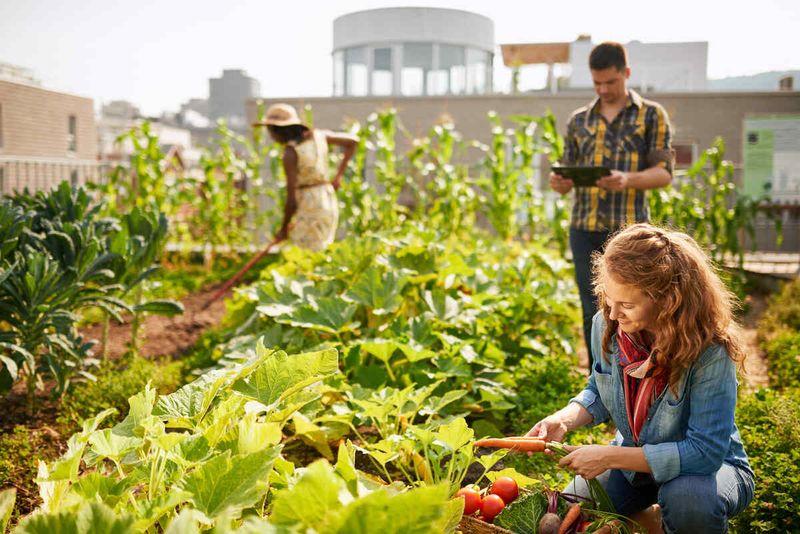 Gardening (Not Just for Retirees)