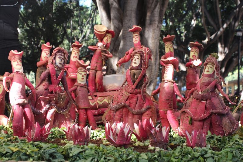 The Night of the Radishes (Oaxaca, Mexico – Noche de Rábanos)
