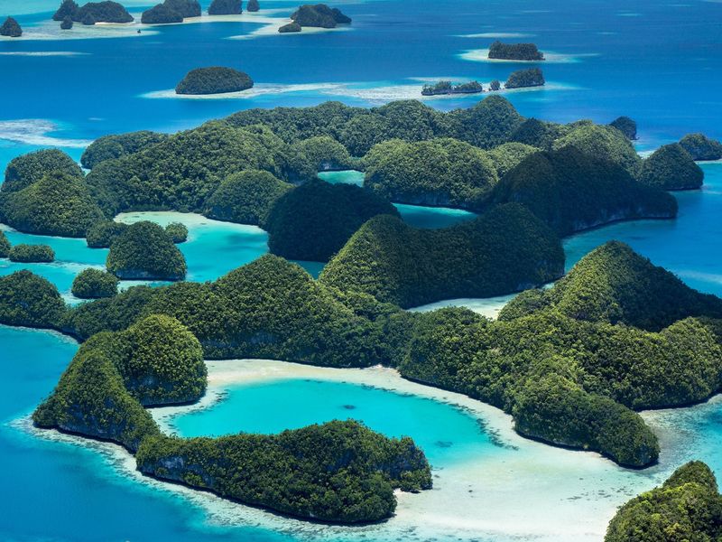 Palau's Comprehensive Protection (2020)