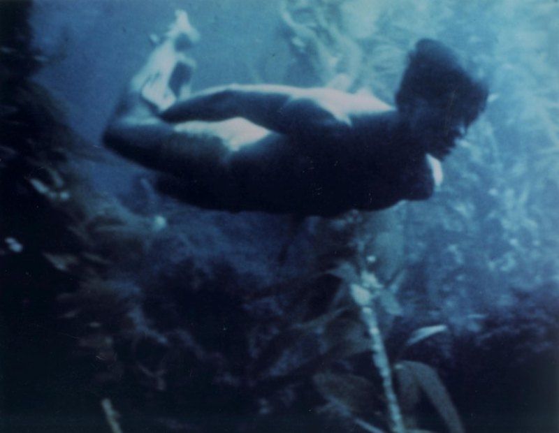Man from Atlantis: The Underwater Hero Who Sank