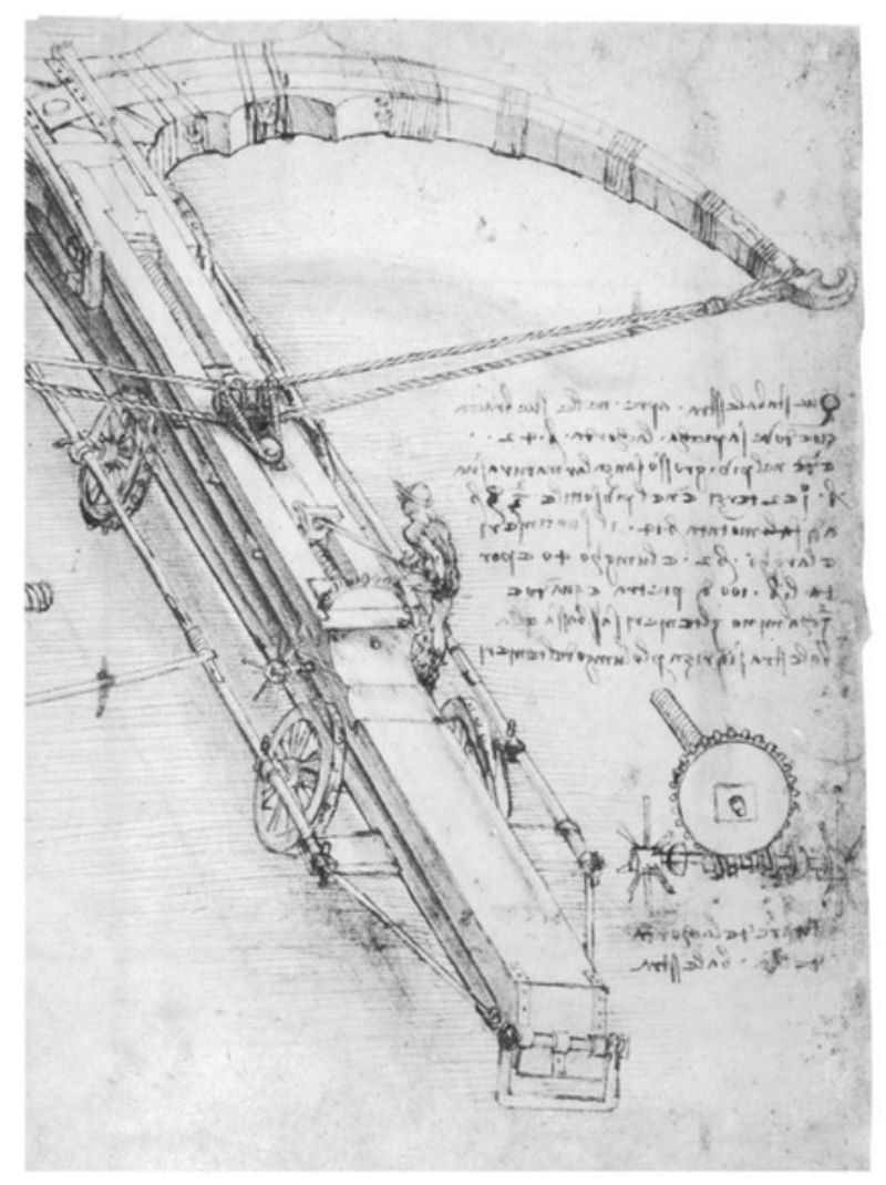 Arched Motion in Projectiles