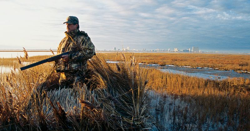 Duck Hunting
