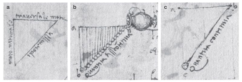 Gravity vs. Weight Distinction