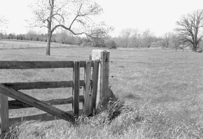Inside Hollow Fence Posts