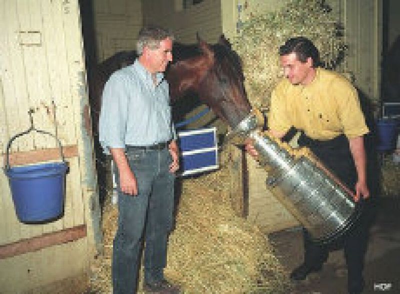 The Cup Was Used to Feed a Horse