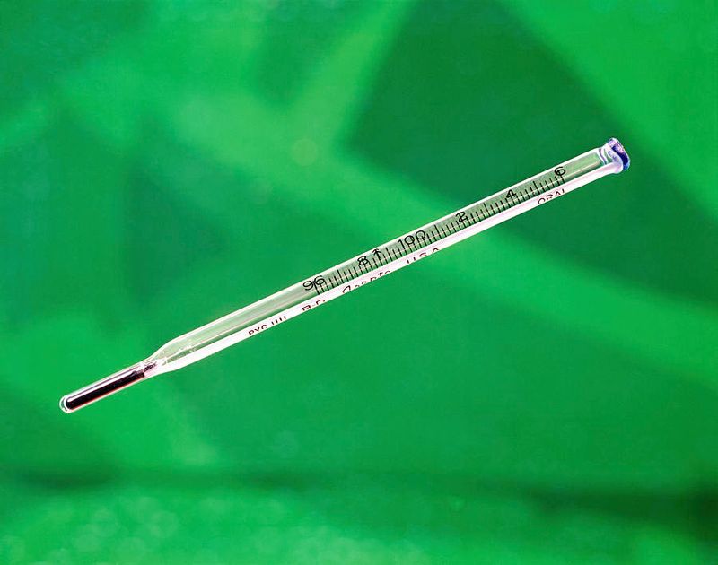 Mercury Thermometers 🌡️