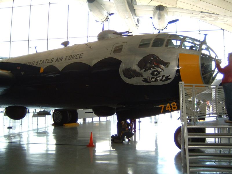 It's Hawg Wild – A Static Display with a Unique Paint Job