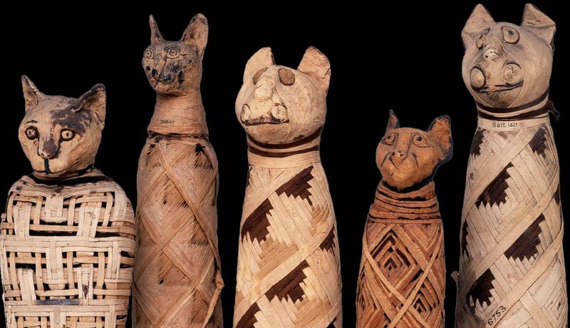 Cats Were Respected, Not Worshipped