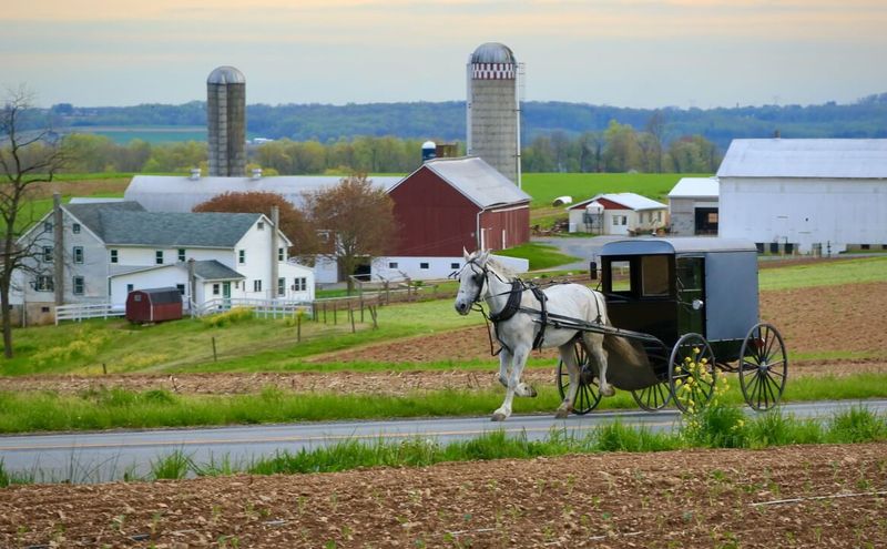 Berlin, Ohio: Where Horse-Drawn Buggies Outnumber Cars