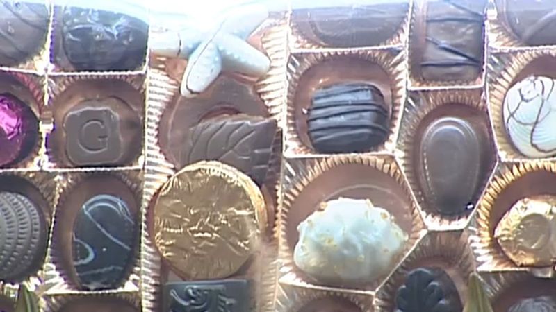 Godiva's Fall from Luxury Grace