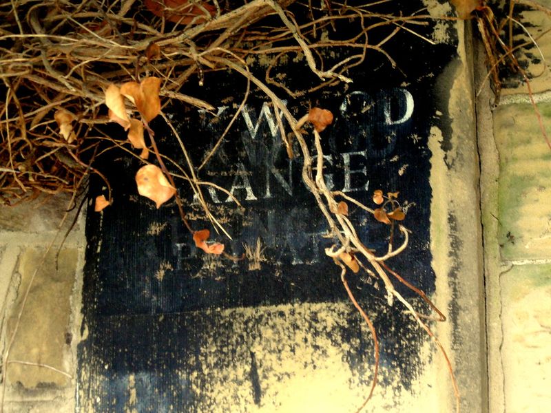 The Garden That Launched Cinema