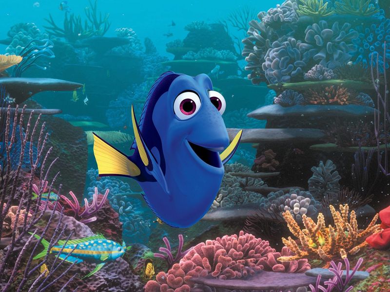 Dory – Finding Nemo