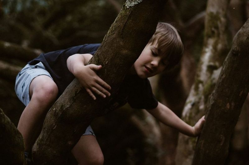 Climbed Trees Like Squirrels