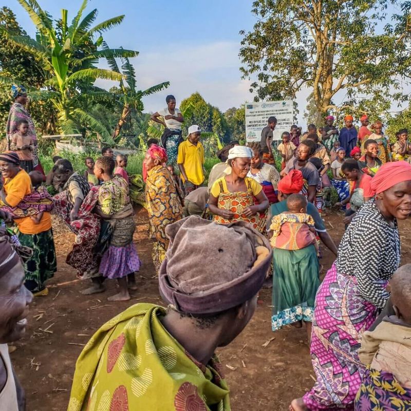 Pygmies (Congo Basin)