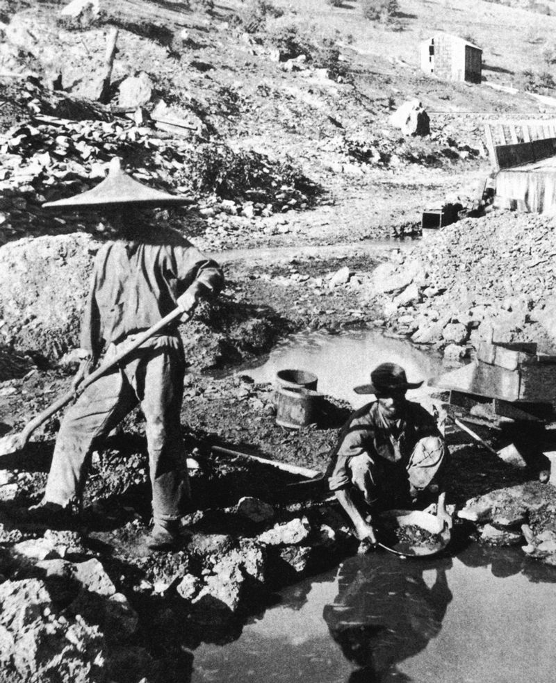 Chinese Miners Were Taxed and Terrorized