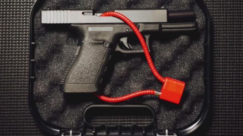 Michigan's Great Lakes Gun Grabs