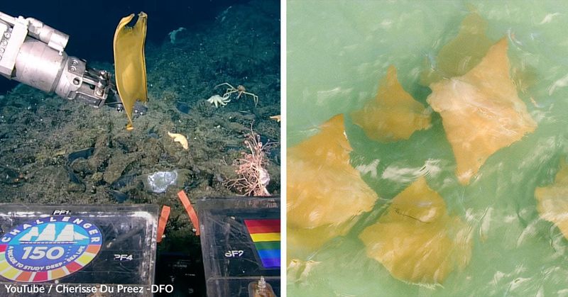 Unprotected Treasure Under Threat