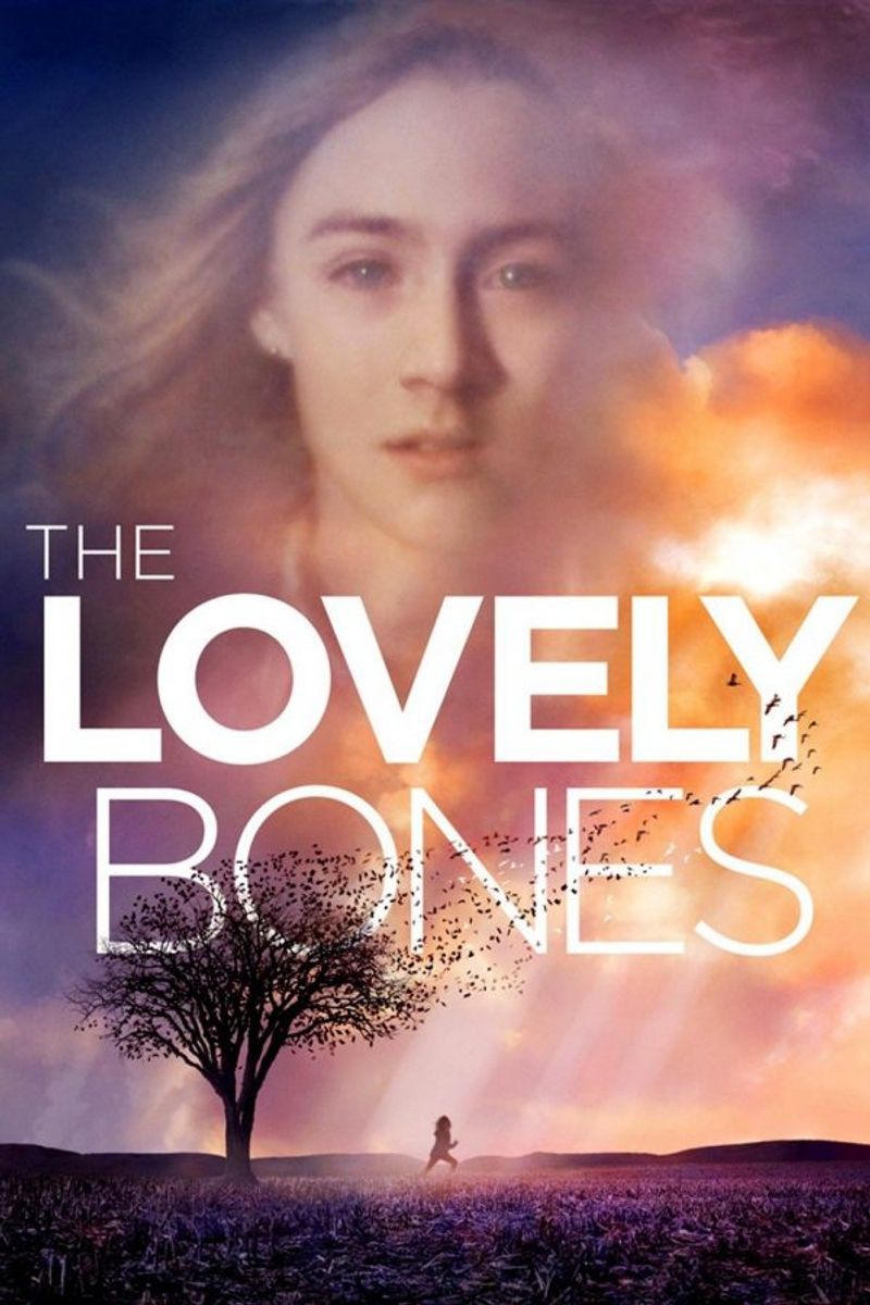 The Lovely Bones' Heavenly Perspective