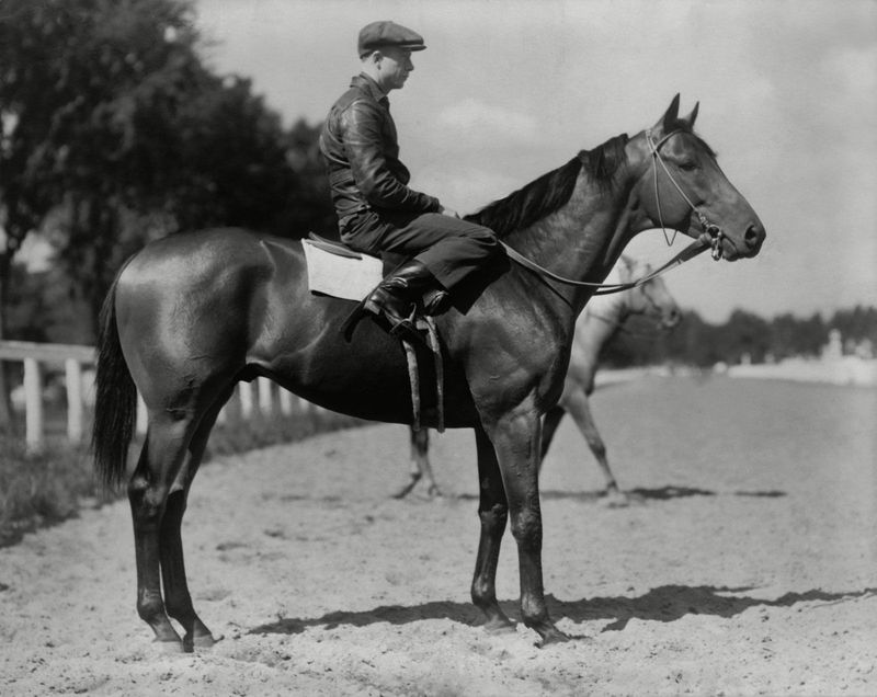 Seabiscuit (The Underdog Champion)