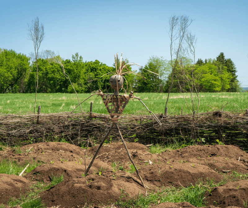 Many Tribes Practiced Sustainable Agriculture