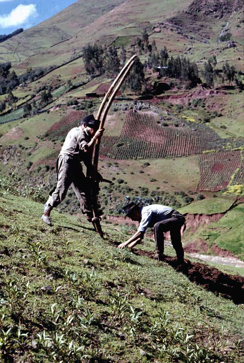 Foot Plough: High-Altitude Farming Innovation
