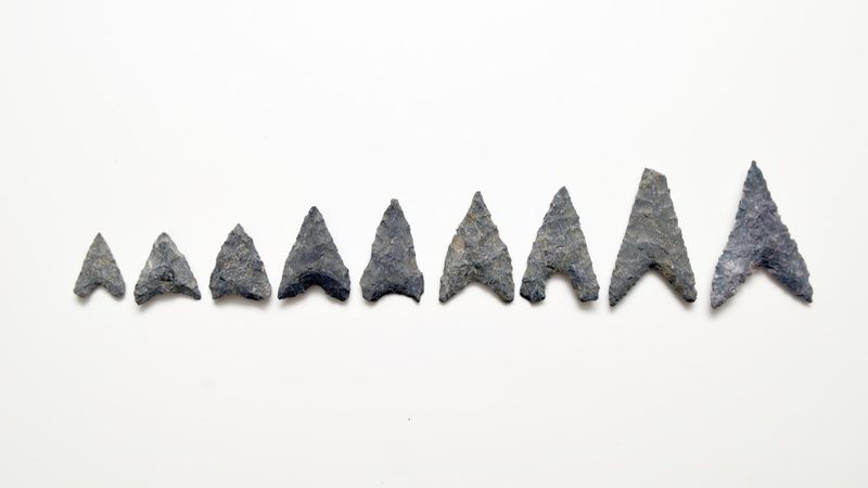 The Jomon Theory Is Losing Ground