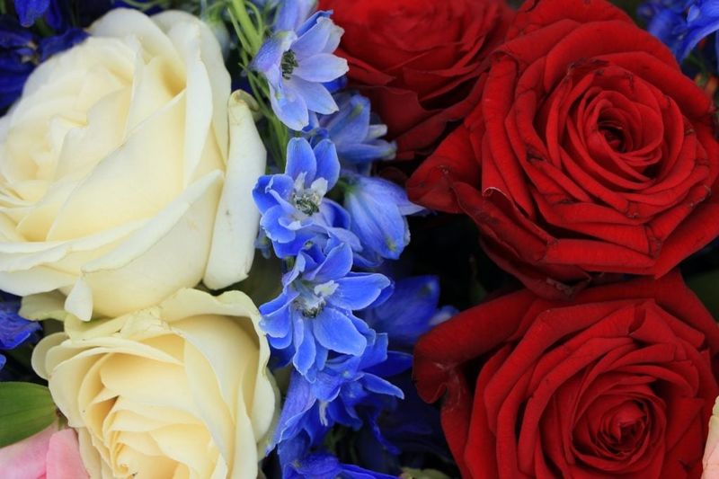 The Symbolic Rose Tradition