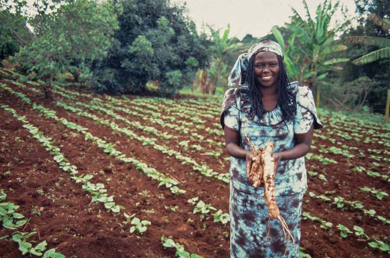 Wangari Maathai (1940–2011) – The Nobel Winner Who Planted 50 Million Trees