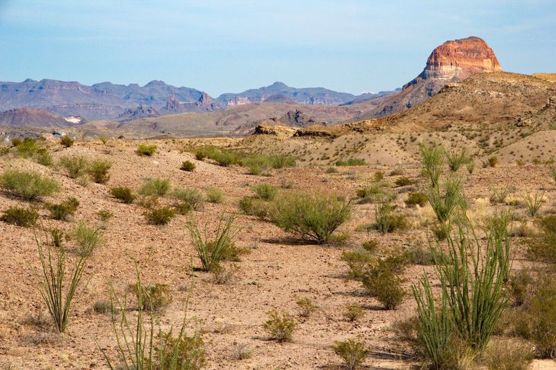 Western Texas's Desert Sanctuary