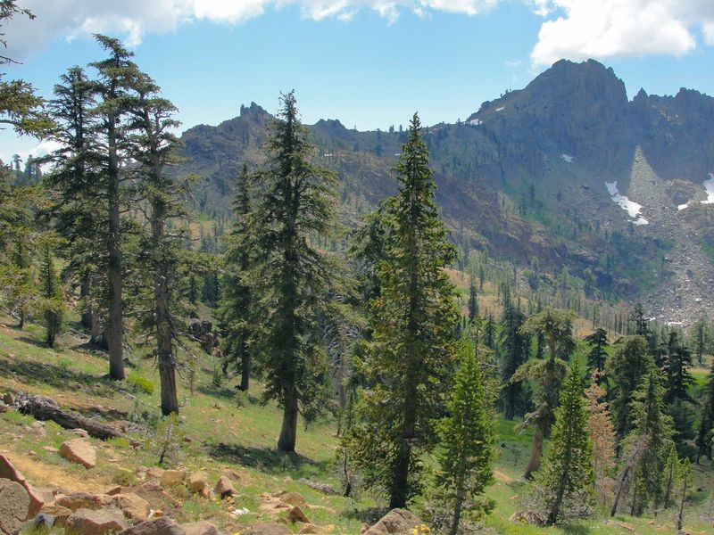 Northern California's Radiation Refuge